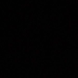 Meet your Posher, Traci